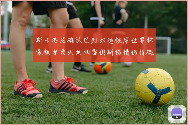 斯卡洛尼确认巴列尔迪缺席世界杯蒙铁尔莫利纳帕雷德斯伤情仍待观察