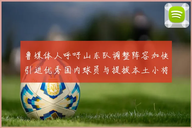 鲁媒体人呼吁山东队调整阵容加快引进优秀国内球员与提拔本土小将